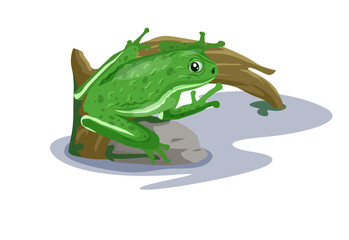 Frog wild animal painting colored cartoon sketch.ai