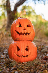 jack o lantern