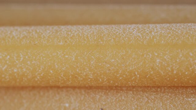 Italian pasta Bucatini or perciatelli thick spaghetti like pasta with a hole running through the center 