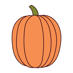 Pumpkin, squash, autumn vegetable isolated on transparent. Hand drawn vector illustration. Line art design. Halloween, Thanksgiving, harvest festival traditional holiday element, seasonal clip art