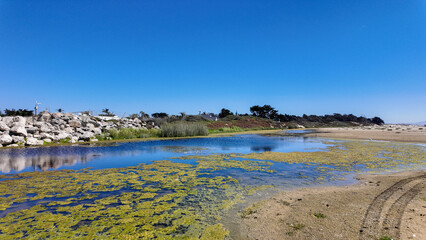 The Pismo Beach Wetlands and Dunes at the Pismo Creek