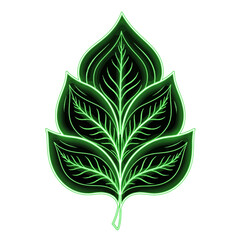 Green leaf vector illustration design for nature botanical organic plant art and decoration element concept