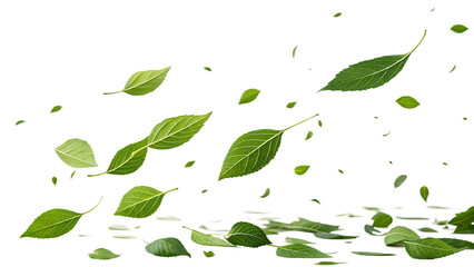 Green Leaves Falling and Gathering on a Surface graphic design Cutout PNG isolated on a transparent background
