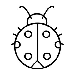 ladybug on white background