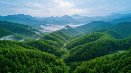 Naklejka premium Lush Green Hills Under Misty Sky in Serene Mountain Landscape
