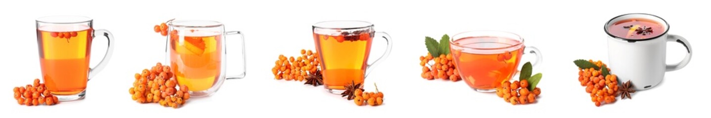 Set of of tasty rowan tea and berries on white background