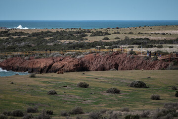paisaje donde a traves de un camino por la costa se puede observar la actividad de pinguinos en una reserva 