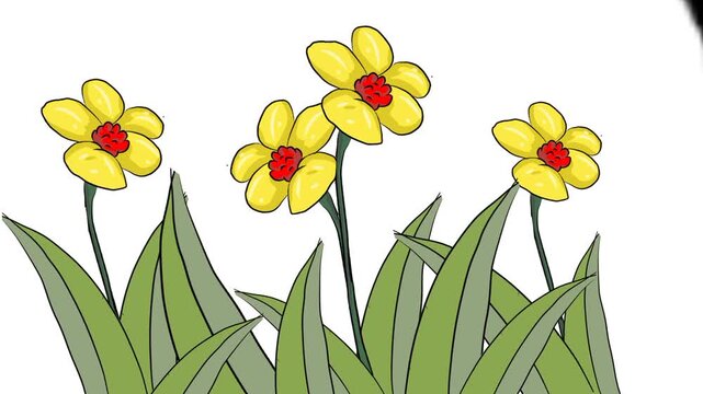 simple yellow flowers on a white background