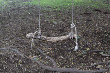 Handmade swing with old rope and a tree branch for the seat