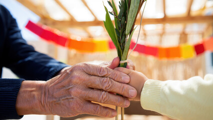 Lulav blessing during Sukkot, elderly and child holding together, Jewish holiday ritual, sukkah background with colorful decorations, tradition of unity, intergenerational celebration outdoors