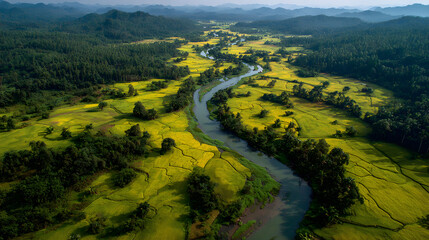 Obraz premium Winding River Through Lush Farmland