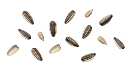 Scattered Sunflower Seeds On Black