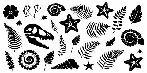 Collection of black silhouette prehistoric fossils and flora including dinosaur skull ammonites starfish and fern leaves © Kopil