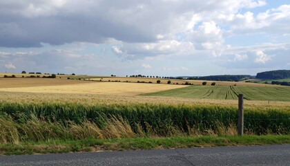 Panoramic view of a golden wheat field, rolling hills, and a cloudy sky