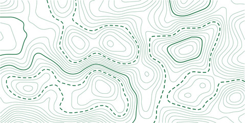 Fototapeta premium Abstract digital modern topography white and soft grey pattern lines sea map area space geometric strip grid line topo map technology modern design white background