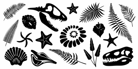 Collection of black silhouette prehistoric fossils and plants including dinosaur skulls starfish ammonites and ferns © Ratan