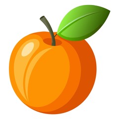 vector illustration of orange fruit