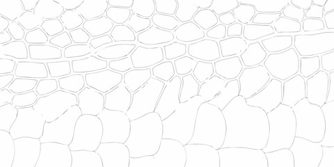 Abstract organic pattern of irregular polygonal shapes with thin gray outlines on a white background