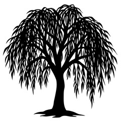 Stylized black and white illustration of a weeping willow tree design © Sanzida