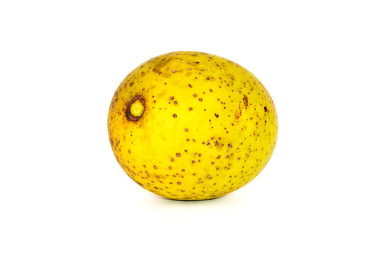 Horse mango, local fruits of Thailand.