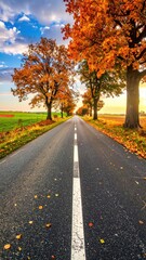 Serene Autumn Road Flanked by Vibrant Trees and Blue Sky