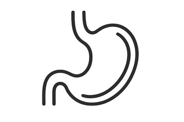Stomach icon linear style. Human organ for digestion. Gastroenterology, digestive system health symbol. Anatomy vector illustration. Medical design element. Gastrointestinal tract.