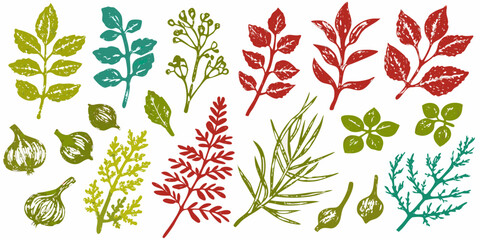 Collection of hand drawn botanical elements featuring leaves herbs and garlic in red green and teal colors