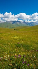 Fototapeta premium Sun-Drenched Meadows and Distant Peaks