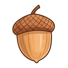 Hand drawn illustration of a single acorn isolated on transparent background