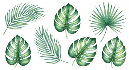 Tropical green leaf assortment vibrant botanical collection for summer decor