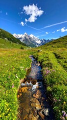 Obraz premium Serene Mountain Stream Flowing Through Lush Green Valley Landscape