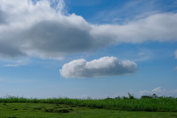 A peaceful green meadow under a bright blue sky with fluffy white clouds, creating a calm and natural landscape view.
