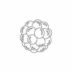 Black and White Line Drawing of a Cluster of Berries