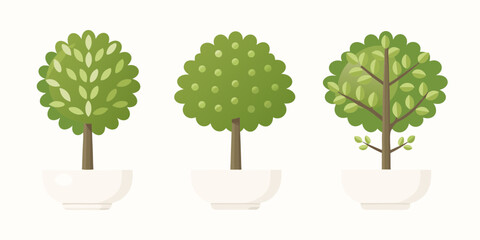 Three stylized potted trees with green foliage and brown trunks on a white background