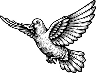 Obraz premium dove flying engraving black and white outline. Scratch board imitation. 