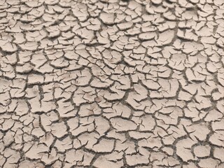 dry cracked earth