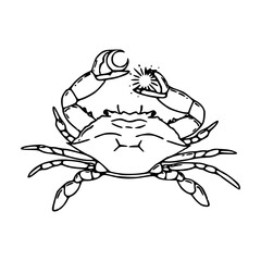 vector outline of a crab holding the moon and the sun