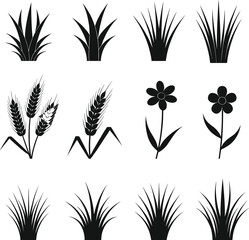 Black plant silhouette icons, grass, wheat, flower symbols, botanical vector set, nature elements, agriculture design, foliage, farming, eco-friendly graphics