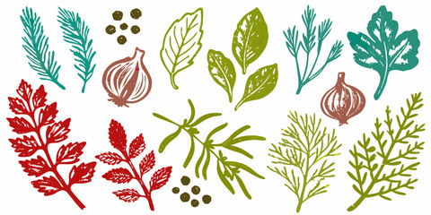Hand drawn botanical elements of herbs spices and vegetables in a rustic style © Roni