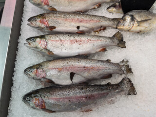 Fresh Rainbow Trout Displayed on Ice at Market