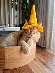 An adorable ginger cat is napping peacefully while wearing a funny yellow hat, with its eyes closed...