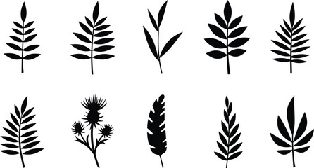 Naklejka premium Botanical leaf silhouettes, black plant icons, floral vector set, nature shapes collection, isolated foliage graphics, thistle flower design elements