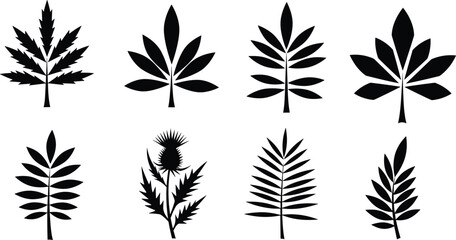 Botanical leaf silhouettes, black vector foliage, diverse leaf shapes, nature design elements, plant illustration, isolated leaves, herbal graphic setBotanical leaf silhouettes, black vector foliage, 
