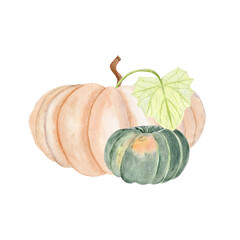 Beige pumpkin, green squash, and fresh leaf watercolor composition isolated on white background. Hand-painted harvest illustration perfect for Thanksgiving, fall decor, cards, rustic kitchen prints