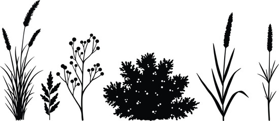 Botanical plant silhouettes, black grass illustration, nature foliage vector, wild flora design, minimal artwork, isolated white background, decorative element