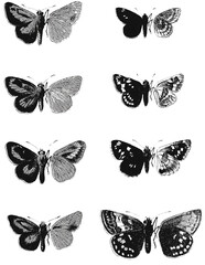 Butterflies Halftones Raw R1003