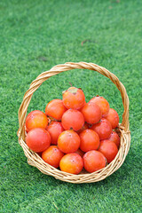 Fresh Persimmons in Wicker Basket on Green Grass - Organic Autumn Fruit Harvest