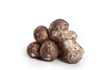 Fresh Shiitake Mushrooms from Yunnan China on White Background