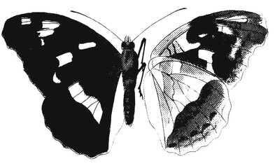 Butterfly Halftone Raw R1004