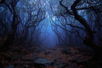 Mystical forest path with twisted trees under a blue-tinged misty light. Rocks & fallen leaves cover the ground, leading deeper into the woods